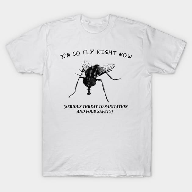 I'm so FLY right now T-Shirt by giovanniiiii